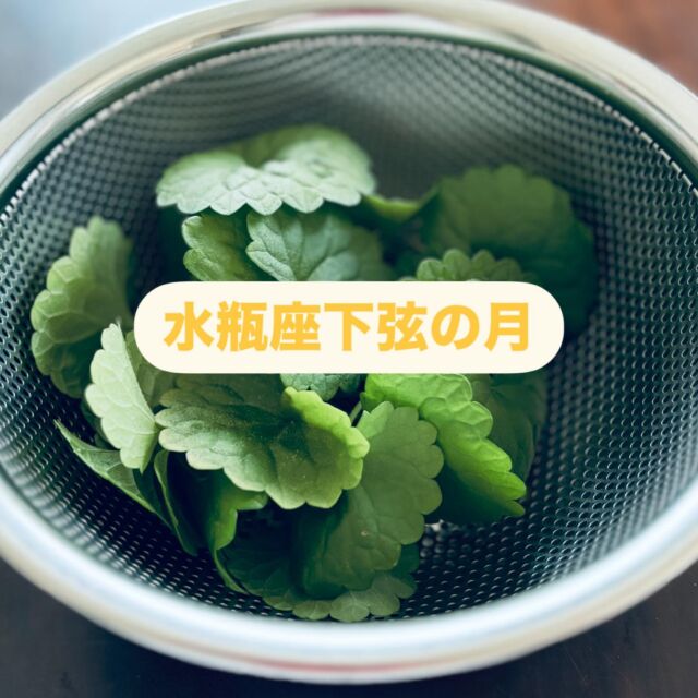 5/20 20:59頃、水瓶座下弦の月になりました

下弦の月は満月と新月のちょうど真ん中
新月に向けて更に不要なものを削ぎ落としていくタイミングです

月水瓶座29度、太陽牡牛座29度
月と太陽は葛藤の角度なので簡単ではないですが
揺るぎない価値を築いてきた時間の中で
もう役目を終えた「こだわり」「形ある安心」を手放していくときです
未来のより良い形のために、もう古くなった「安心」を手放しましょう
太陽は明日には牡牛座から双子座へ移動します
自分のこだわりの安心エリアから知らない世界への興味心が芽生える時間になります
色んな情報を集め、色んな人に会って
新しい世界を始める準備をしましょう

素敵な下弦の月週間をお過ごしください☆。.:＊・゜

 #下弦の月 
 #水瓶座下弦の月 
 #こだわりを手放す